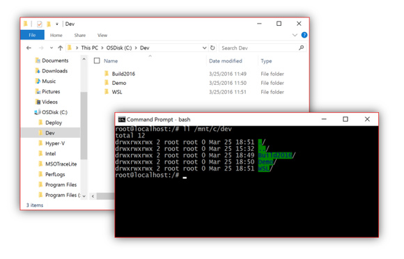 如何在Windows上运行Bash